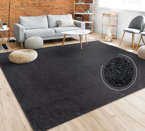 131768 1 paco home tappeto per soggiorn.jpg