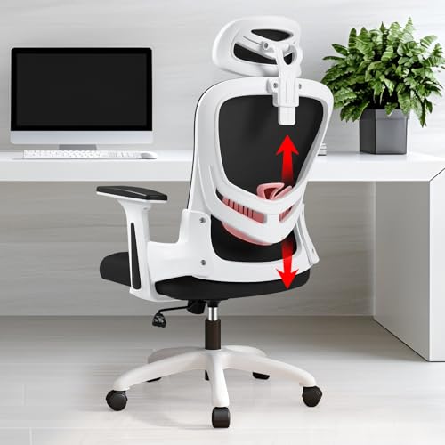 137374 1 limbalay sedia ufficio ergonom.jpg