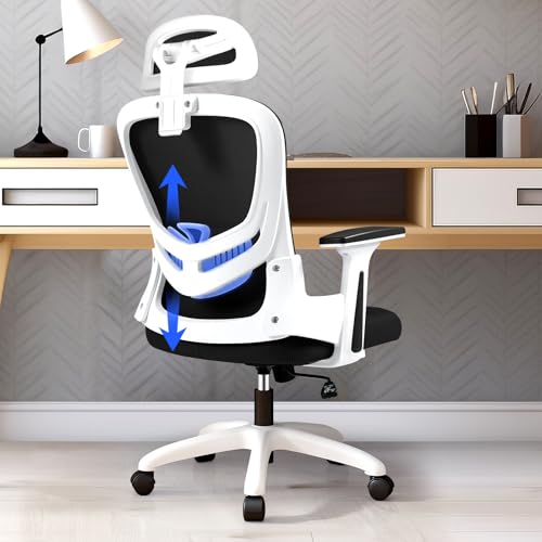 144894 1 levipe sedia da ufficio ergono.jpg