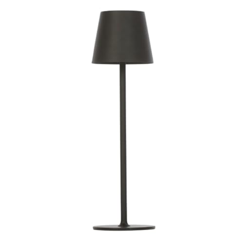 145565 1 d light professional lampada d.jpg