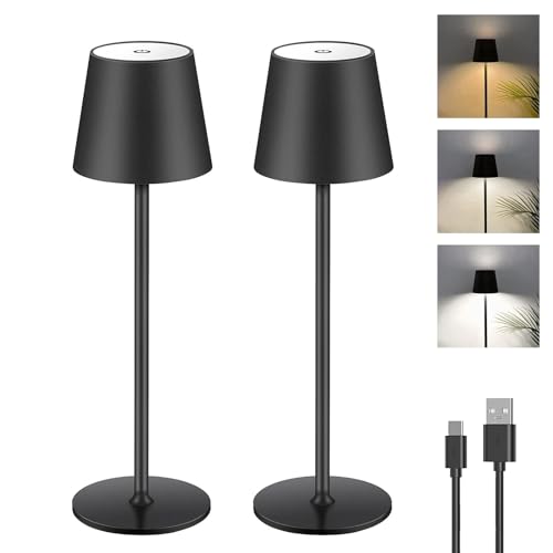 146592 1 lampada da tavolo dimmerabile.jpg
