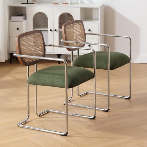 147548 1 chairus set di 2 sedie da pran.jpg