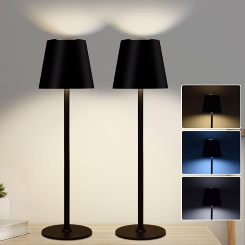 149847 1 2 lampade da tavolo lampada d.jpg
