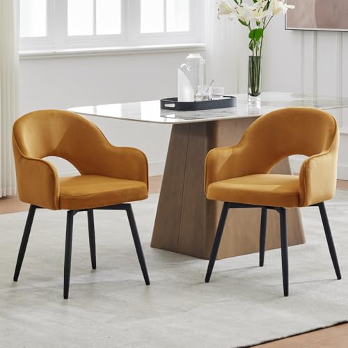 149854 1 chairus set di 2 sedie da pran.jpg