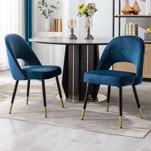 150068 1 ya home set di 2 sedie da pran.jpg