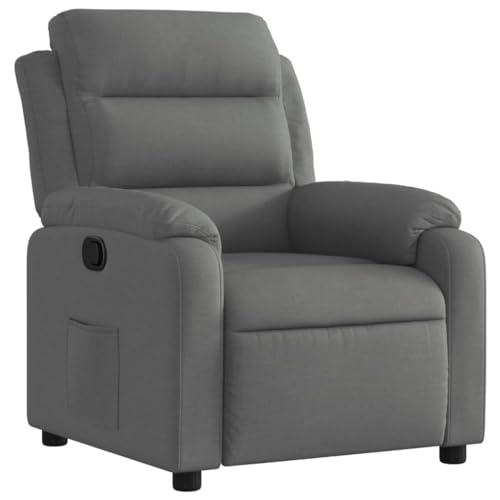 151450 1 vidaxl poltrona reclinabile in.jpg