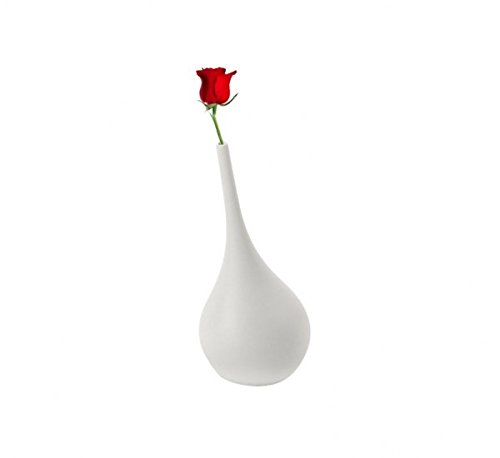 152062 1 vaso a forma di ampolla dal de.jpg