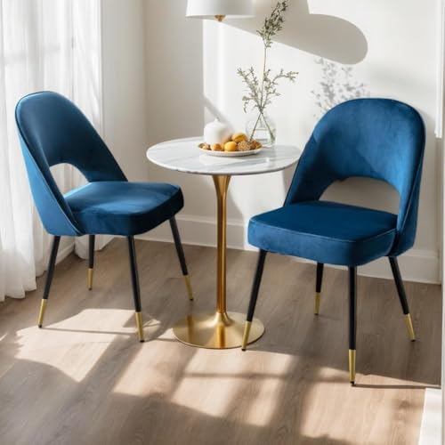 152101 1 chairus set di 2 sedie da pran.jpg