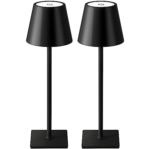 154058 1 visdanfo 2 pezzi lampada da ta.jpg