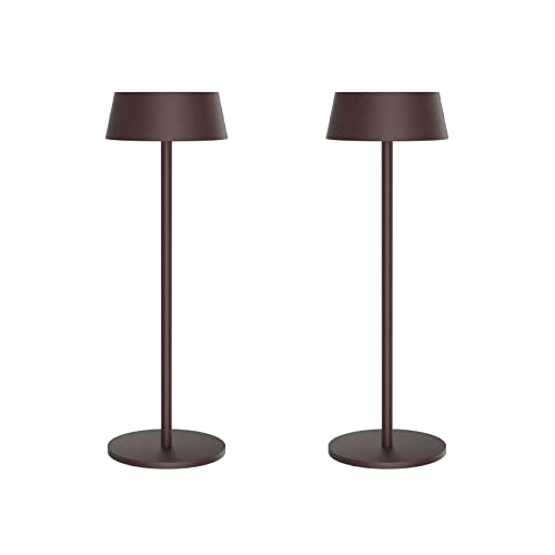 155064 1 k bright 2 pezzi lampada da ta.jpg