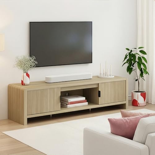 155538 1 en casa mobile tv con 2 ante.jpg