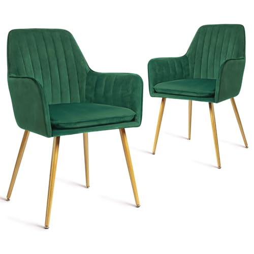 155782 1 canglong set di 2 sedie da sal.jpg