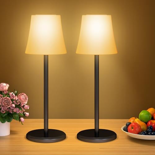 156527 1 suright 2 pezzi lampada da tav.jpg