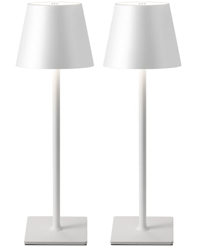 160728 1 visdanfo 2 pezzi lampada da ta.jpg