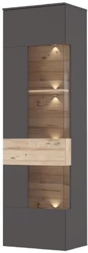 161752 1 forte como vetrina con 1 anta.jpg