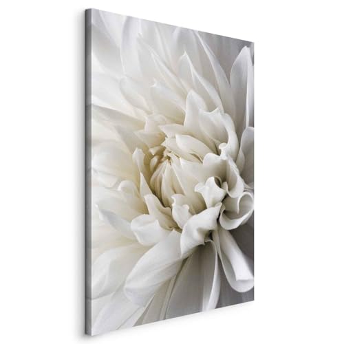 165835 1 bd xxl quadro fiori 40x60 c.jpg