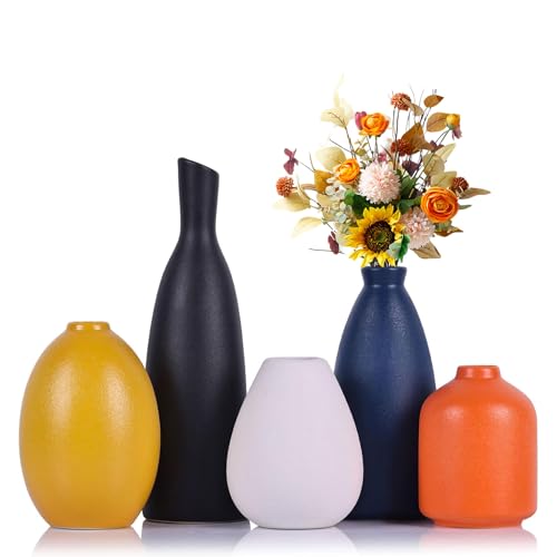167662 1 qianling set di 5 vasi colorat.jpg