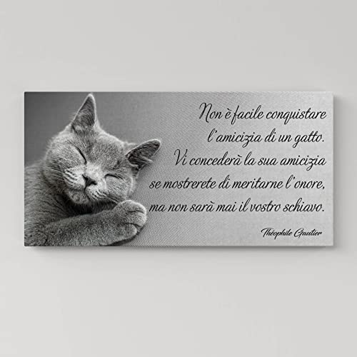 169638 1 quadro moderno con frase e gat.jpg