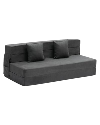 170629 1 vevor divano letto pieghevole.jpg