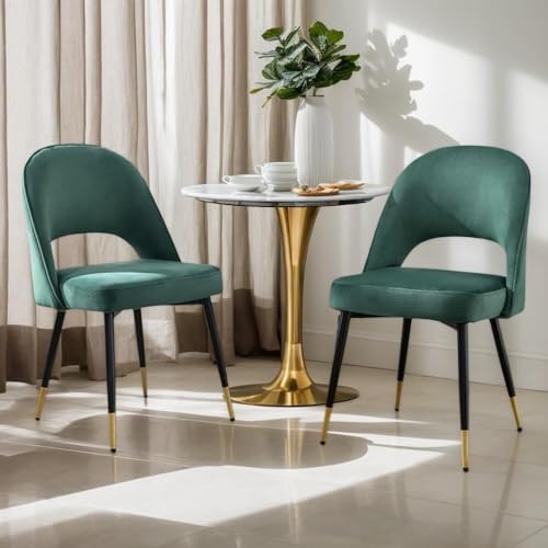 172498 1 chairus set di 2 sedie da pran.jpg
