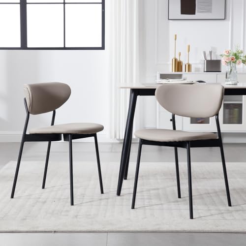 178454 1 chairus set di 2 sedie da pran.jpg