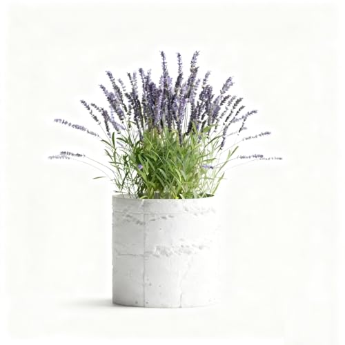 179246 1 vaso decorativo moderno effett.jpg