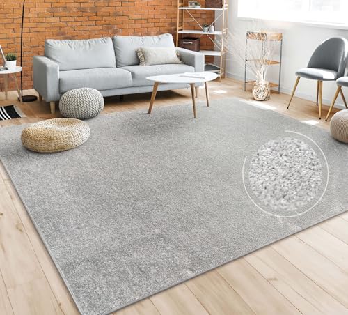 182427 1 paco home tappeto pelo corto.jpg